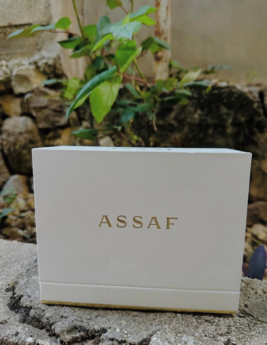 ASSAF PINK LADY COLLECTION EDP