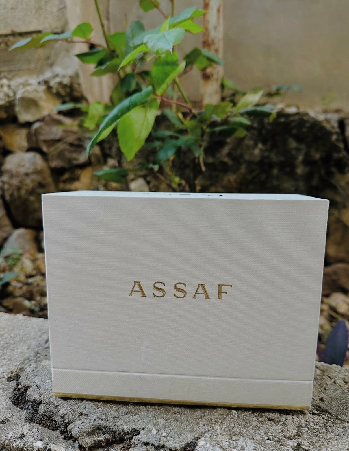 ASSAF PINK LADY COLLECTION EDP
