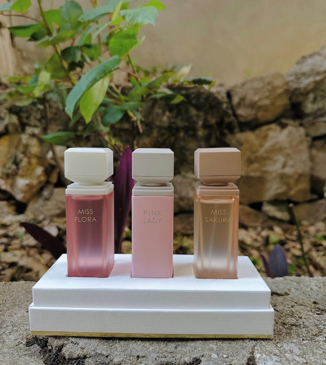 ASSAF PINK LADY COLLECTION EDP