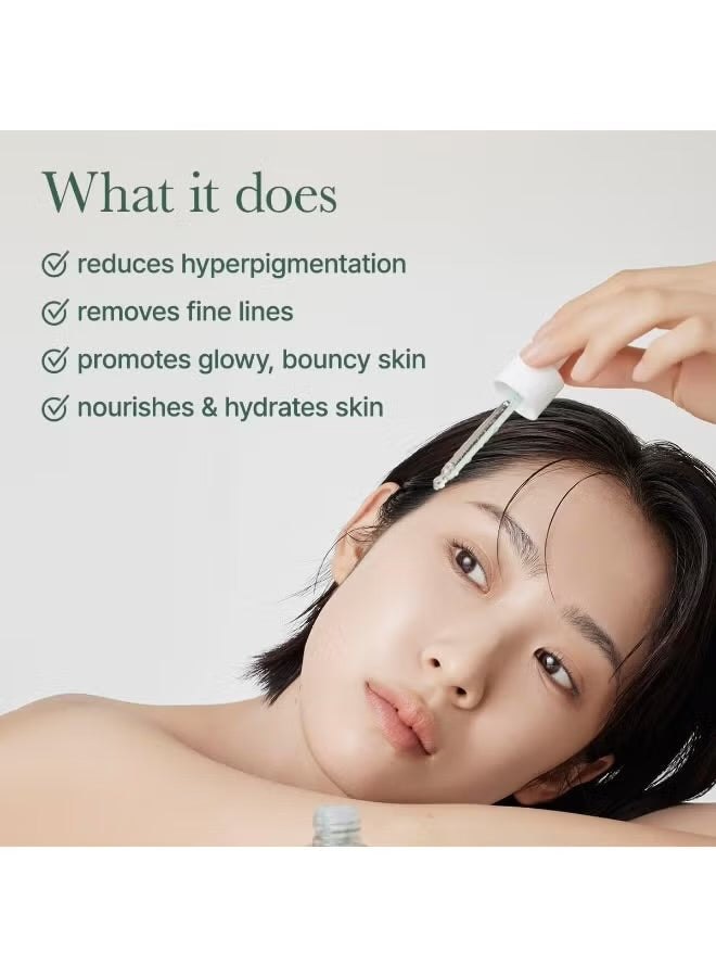 Arencia Holy Hyssop Serum 12 – 30 ml