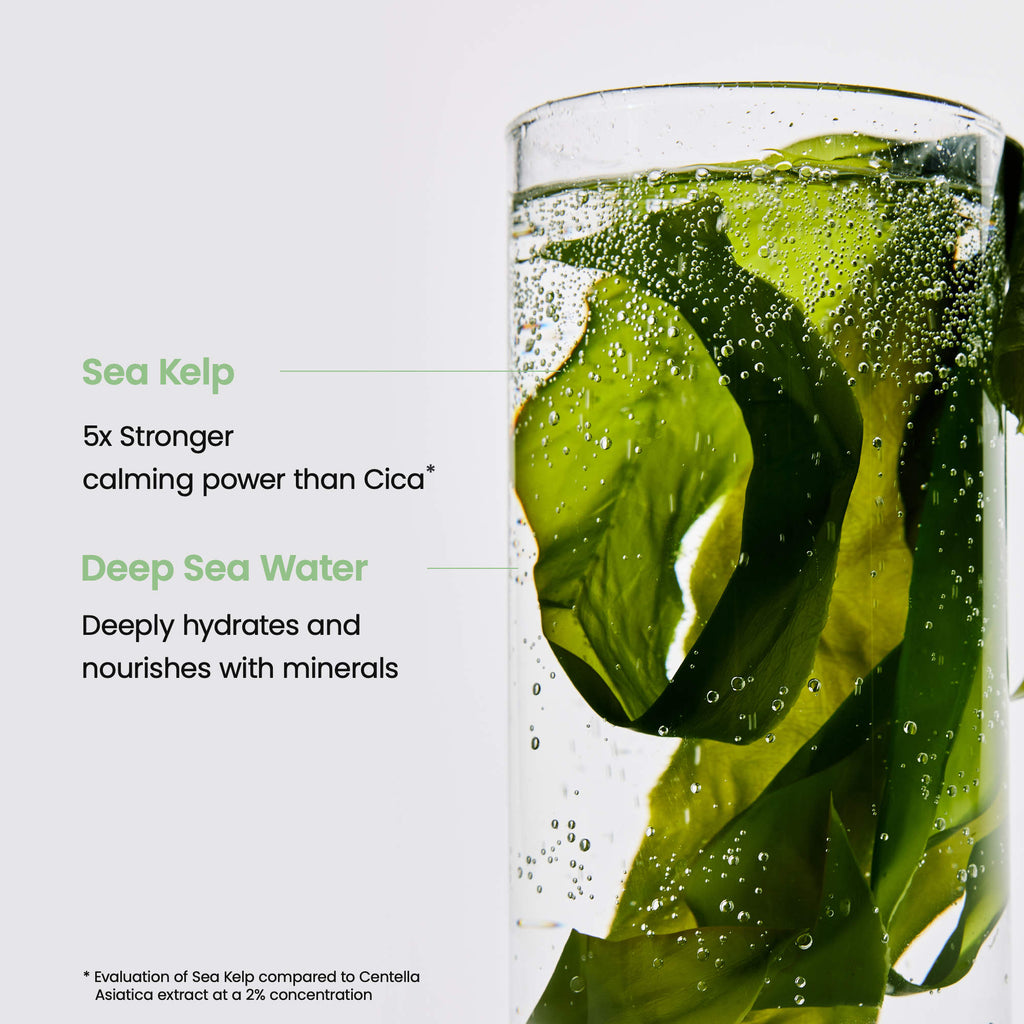 BIODANCE – Refreshing Sea Kelp Real Deep Mask (4 pièces)